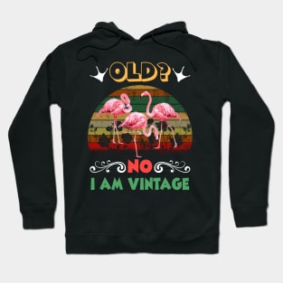 Old No I am Vintage Funny Flamingo Hoodie